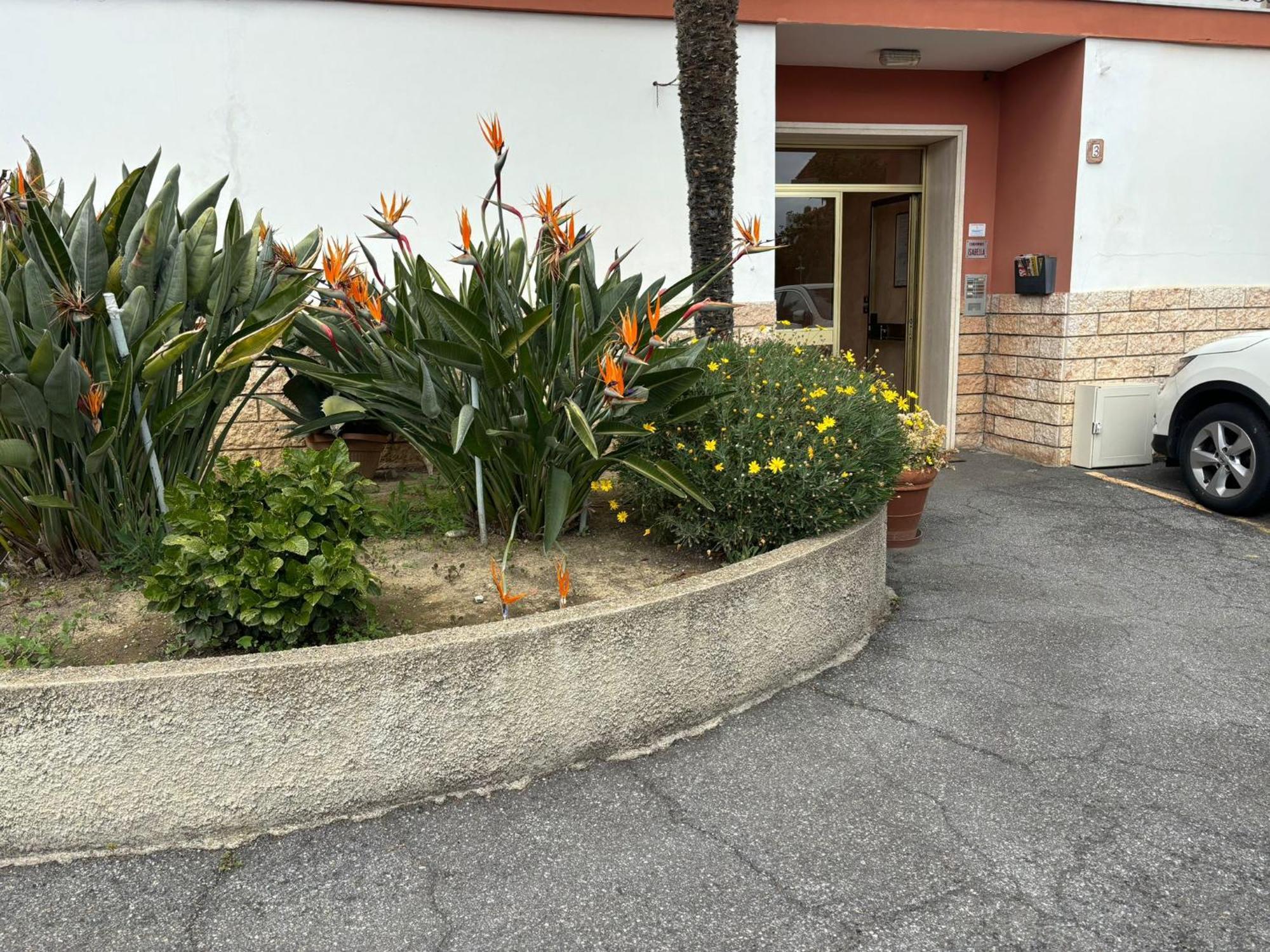 Appartamento Angela Riva Ligure Bagian luar foto
